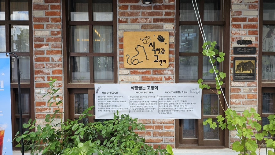 식빵굽는고양이 사진 2