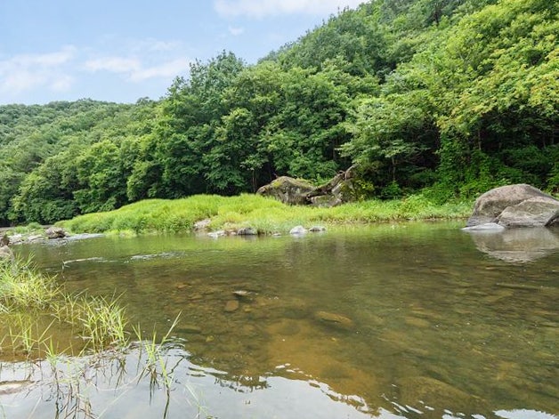 고운풍경펜션 사진 3