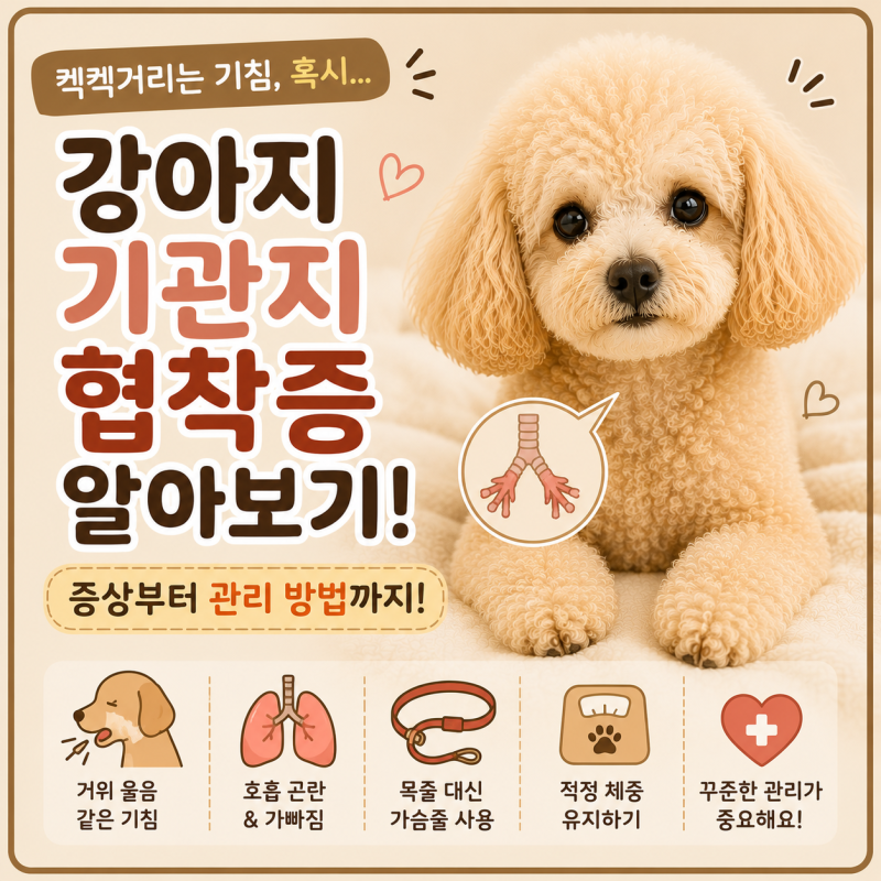 강아지 기관지협착증 증상은? 원인부터 관리 방법까지 꼭 알아두세요!
