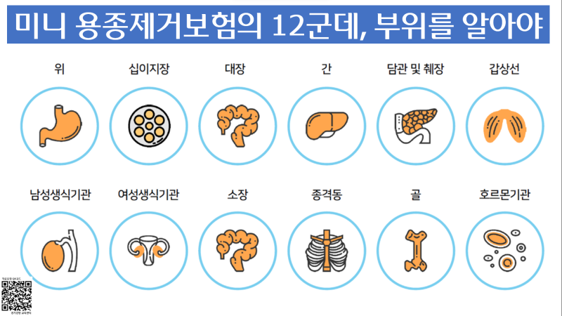 동양생명 미니보험 5종을 소개해드립니다. (2026년 7월 기준)