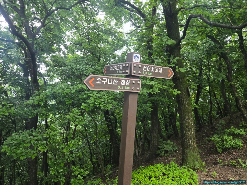 소구니산 사진 5