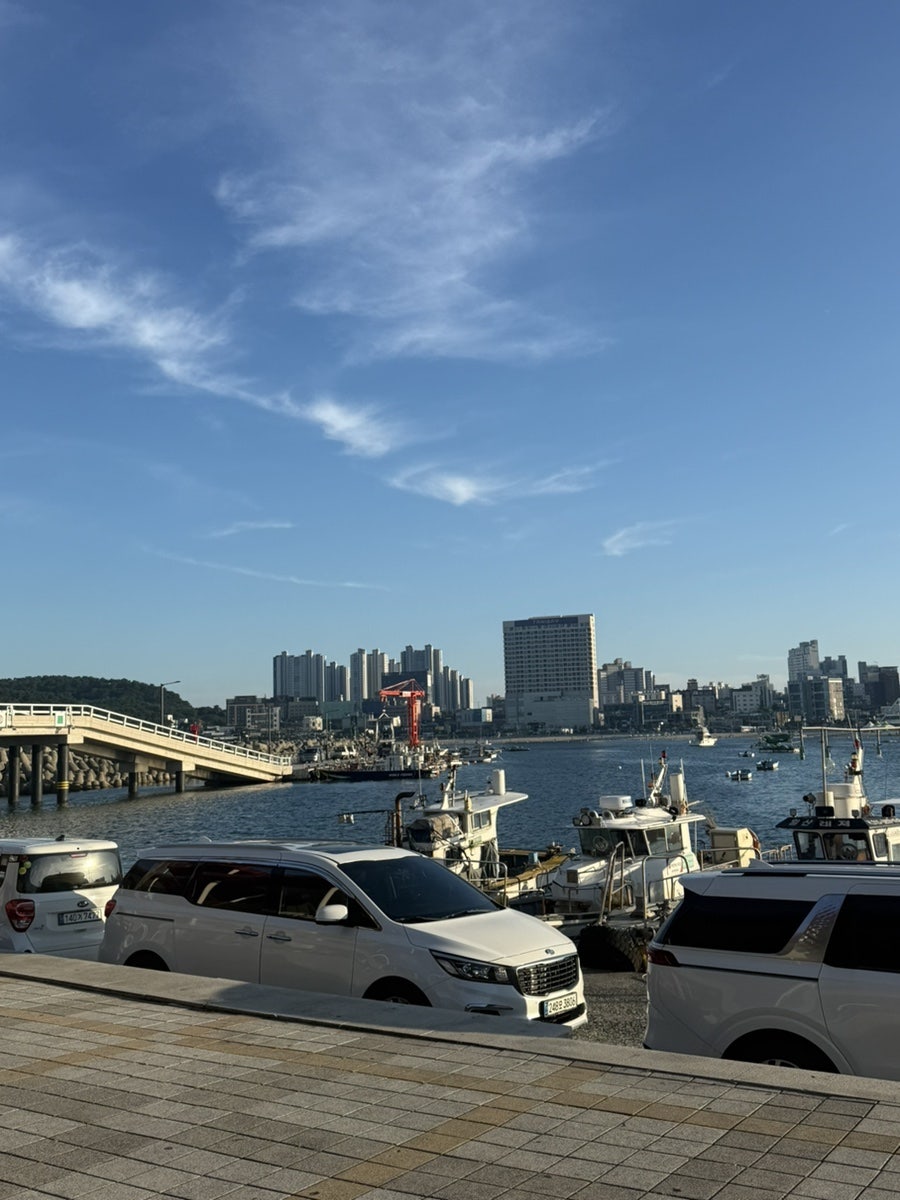꼭지초장 사진 3