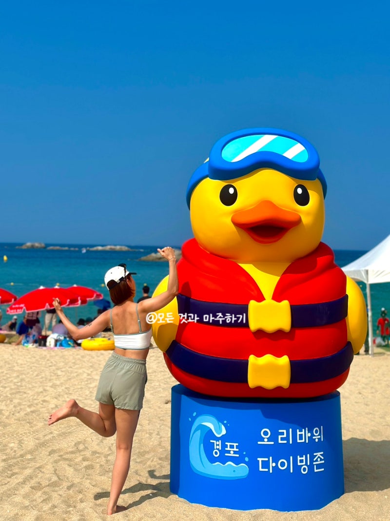 강릉 경포해수욕장 개장 파라솔 대여 강릉비치비어페스티벌까지 즐기기