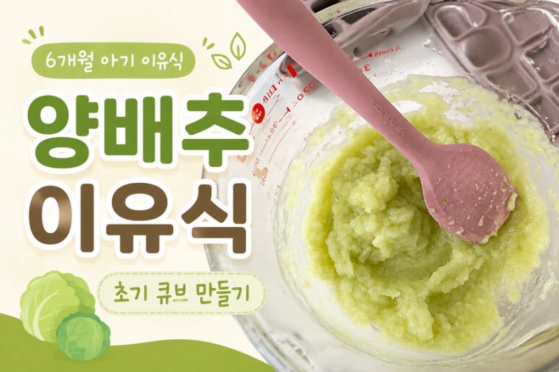 초기 이유식 양배추 큐브 만들기｜6개월 아기 채소 이유식