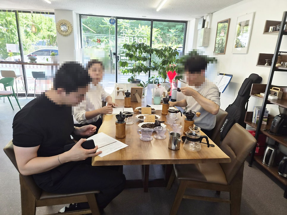 커피나무 사진 5