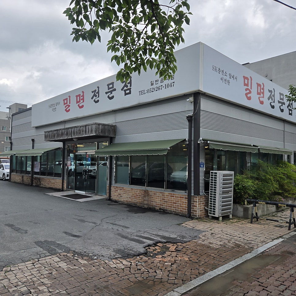 밀면전문점 사진 3