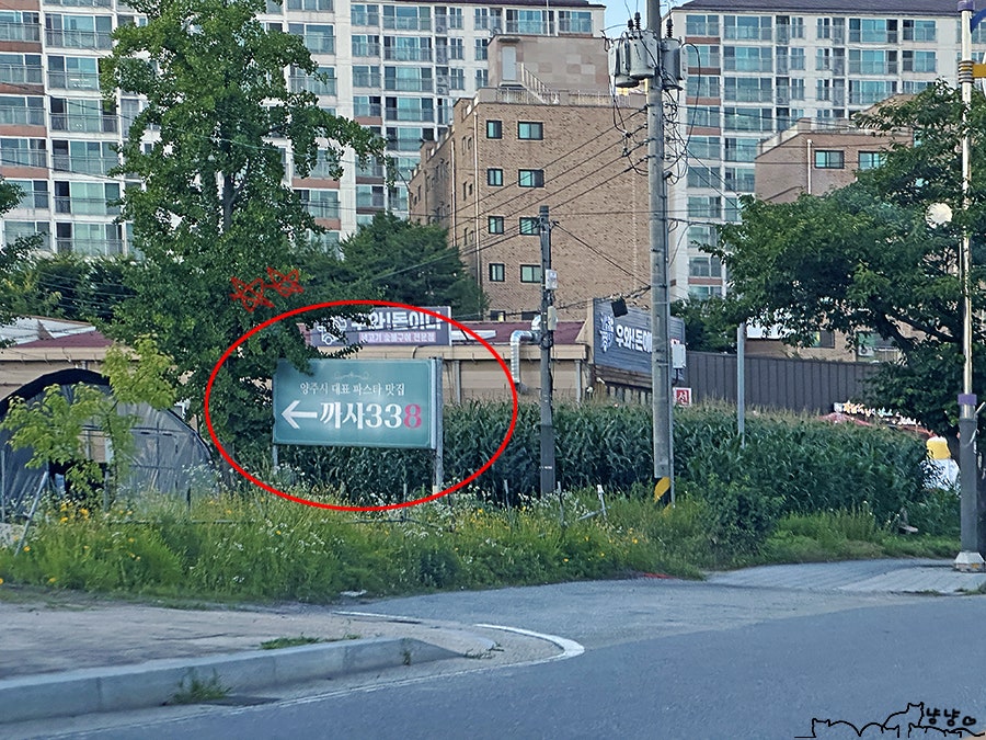 까사338 사진 2