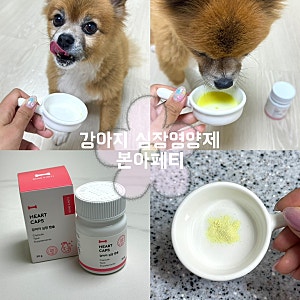 강아지 하트 영양제 추천, 심장영양제 본아페티 꾸준히 먹여본 후기