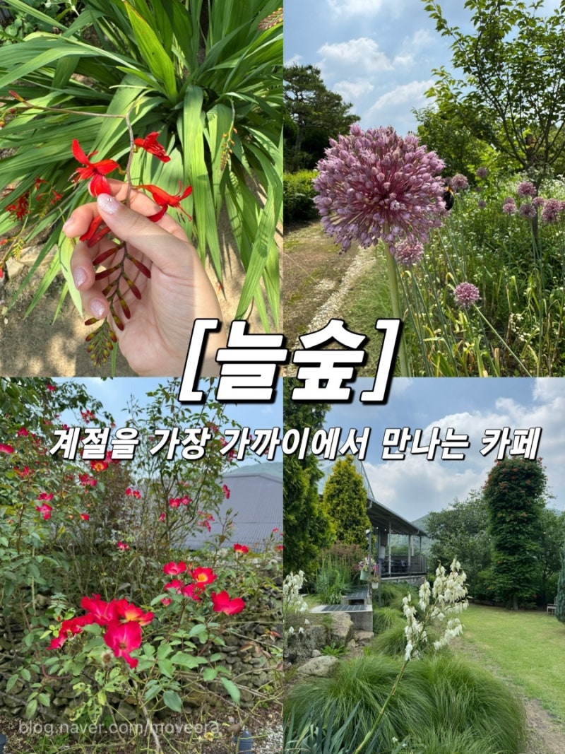 전주 근교 카페 [늘숲]: 여기 카페 맞아? 숲속 정원에 들어온 줄 알았던 곳