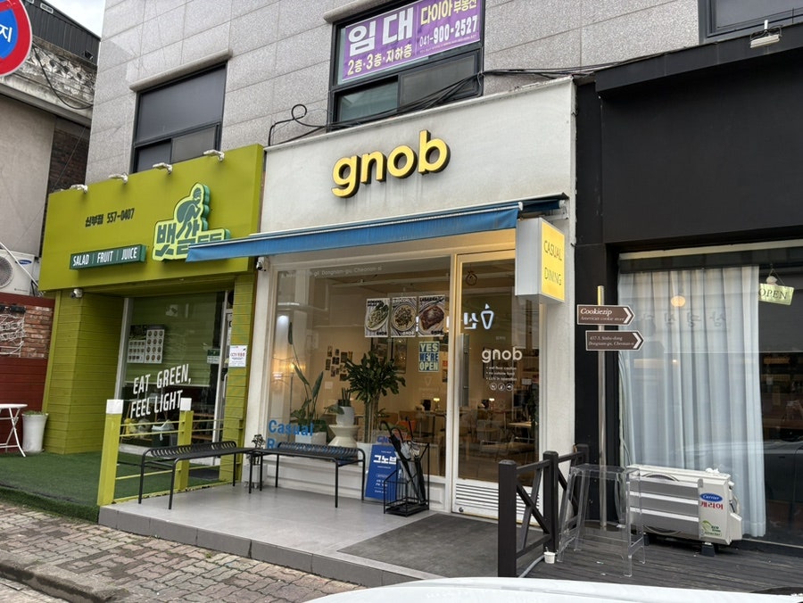 그노브 사진 1