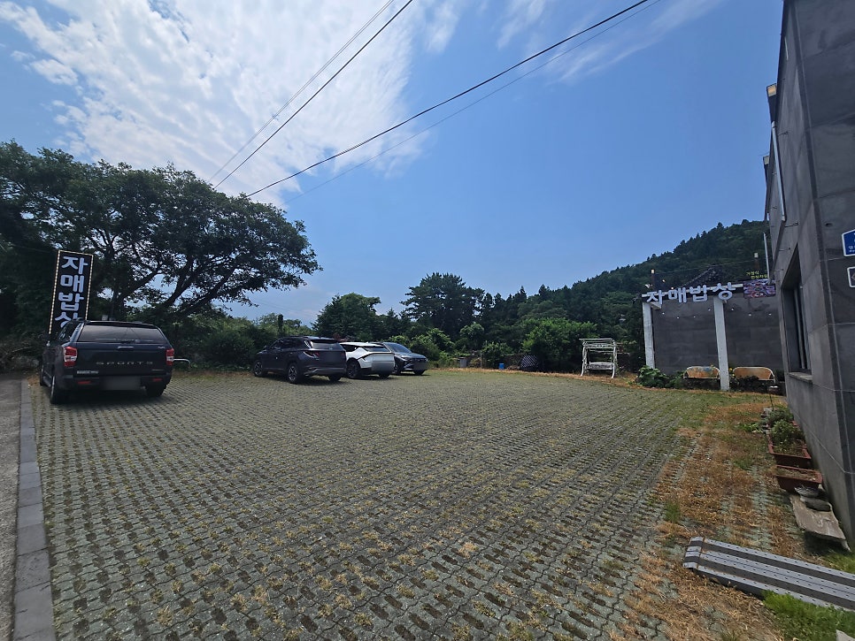 하루백면 본점 사진 2