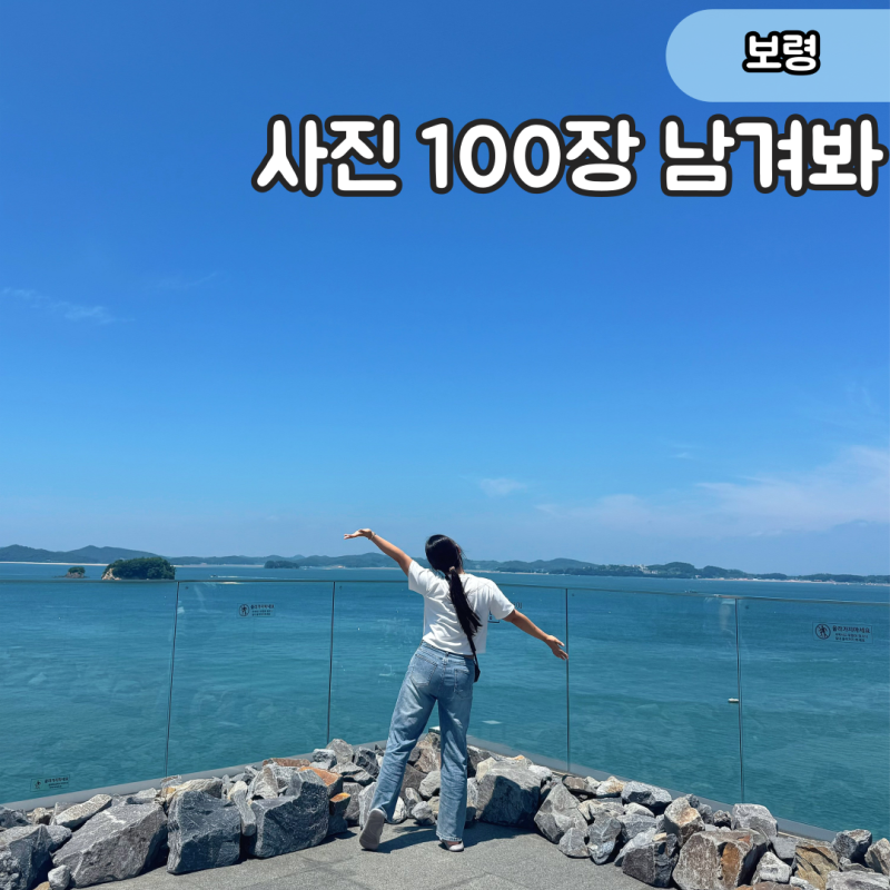 보령 애견동반 카페 바이더오, 3층 바다뷰 대형카페 후기