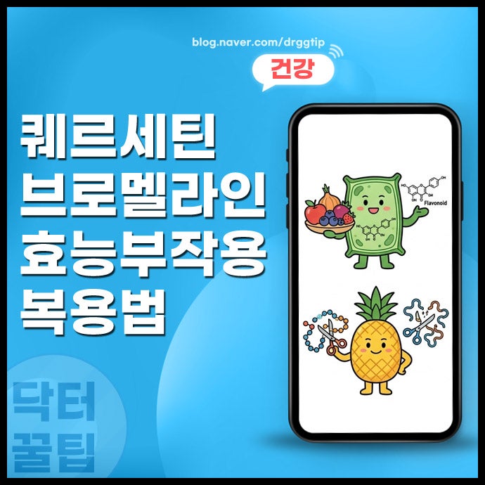 퀘르세틴 브로멜라인 효능 영양제 효과 및 부작용 복용법 정리