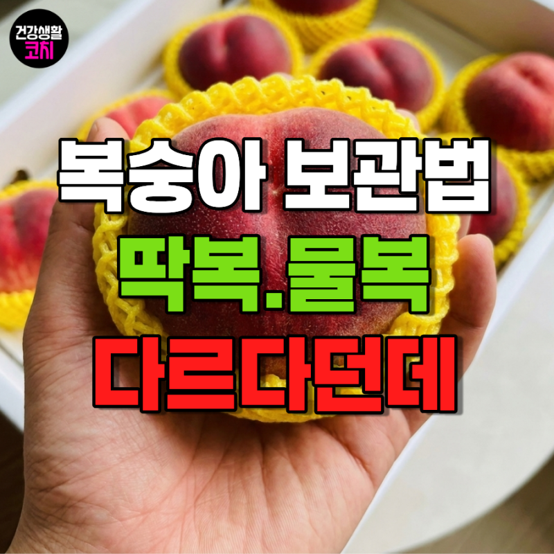 복숭아 보관법, 딱복 물복 다르게 하세요