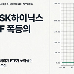 미국장에 뜬 SK하이닉스 2배 레버리지 ETF와 역대급 폭등 분석