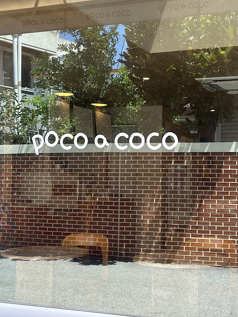 포코아코코 사진 3