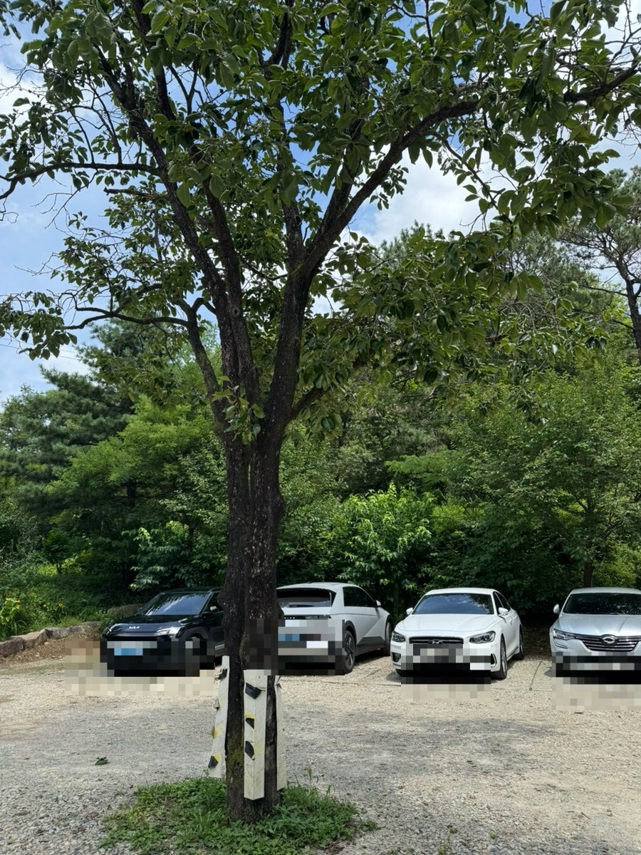 엔학고레 사진 4