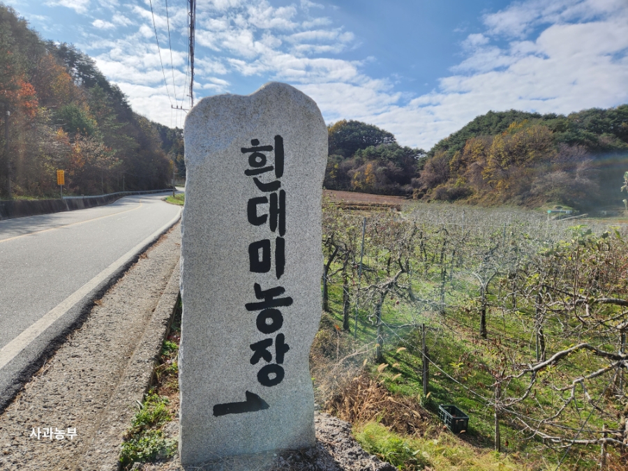 두메산골 사진 1