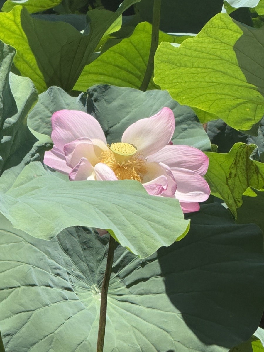 마선생얼큰국밥 김천교동점 사진 2