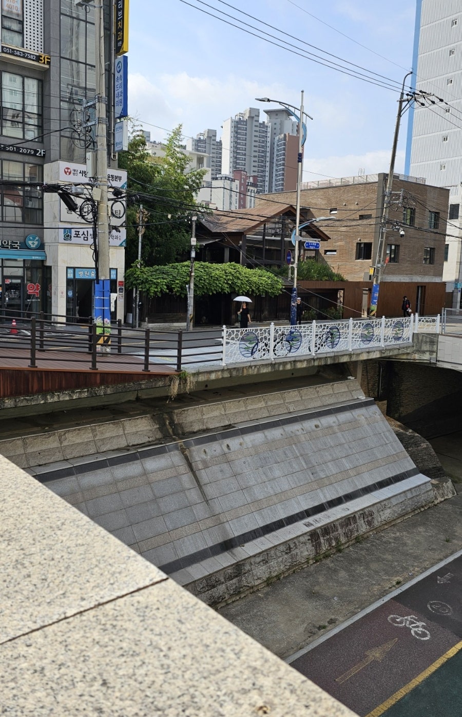 콩방 사진 5