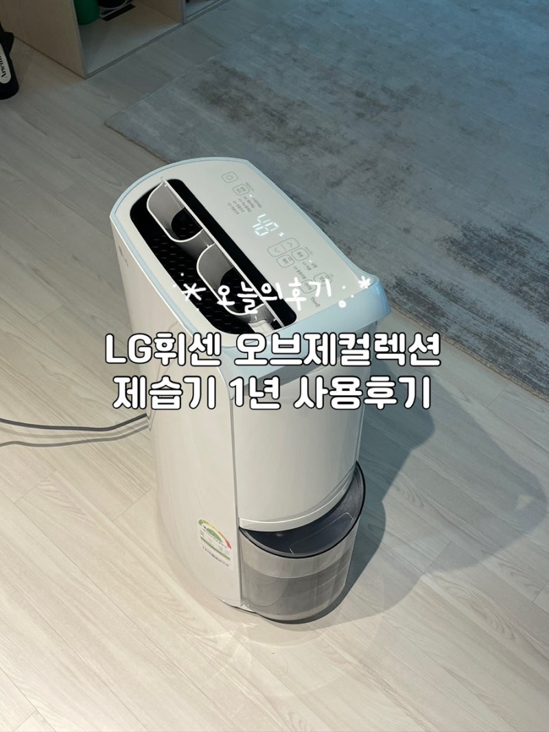 장마철 삶의 질 올리는법 - LG 휘센 오브제컬렉션 제습기 DQ205PEGA 후기 /최저가 링크 공유