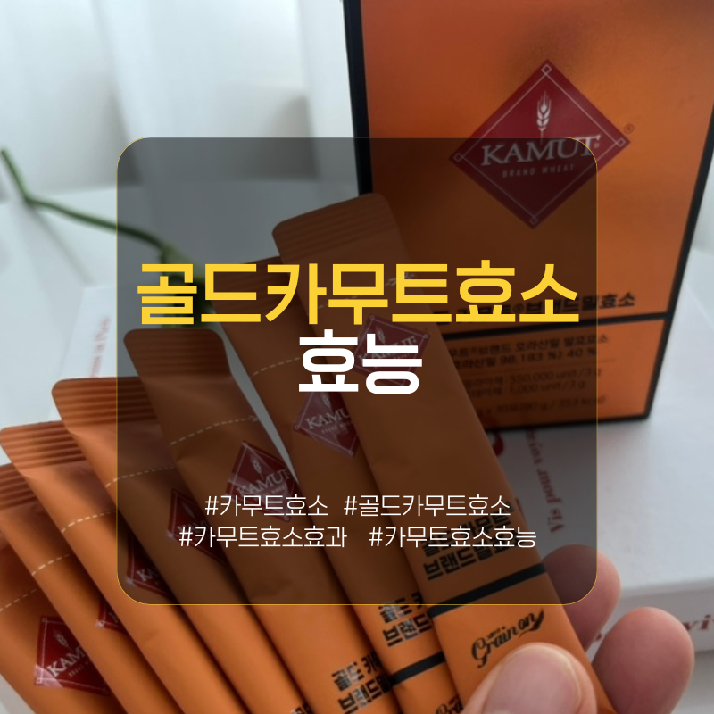 골드 카무트효소 효능 찾아보고, 다이어트 중에 챙겨본 후기!