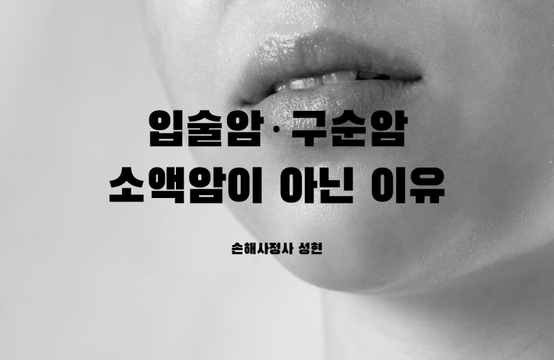 입술암·구순암의 일반암 진단비 분쟁 - "입술에 땀나는 사람 보셨나요?"