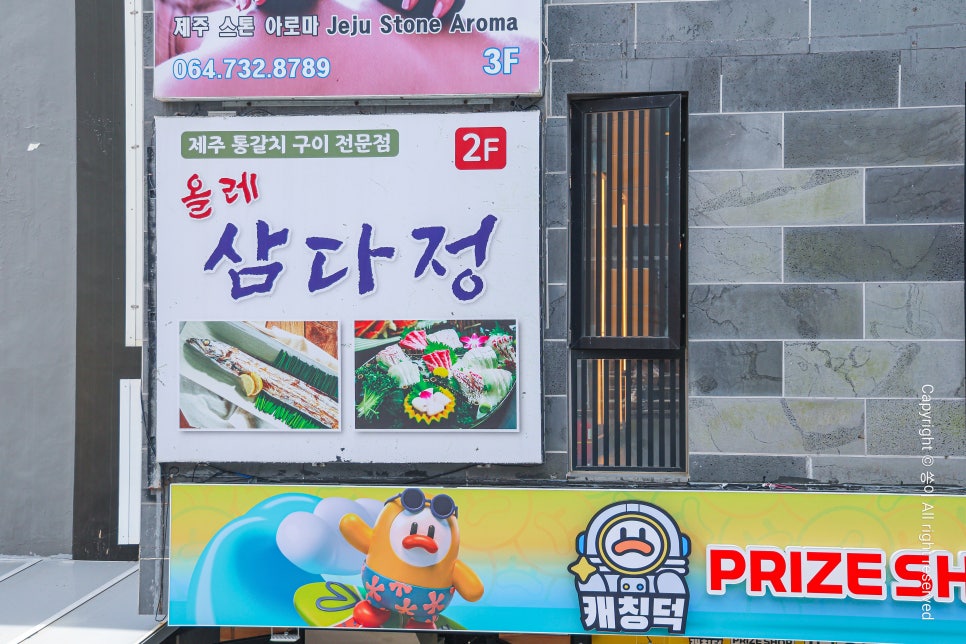 올레삼다정 사진 3