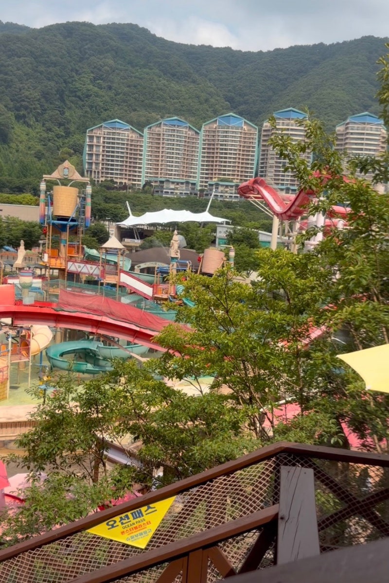 비발디파크 오션월드 썸머가든 사진 2