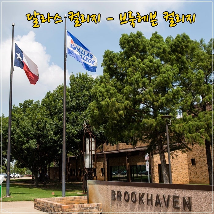 미국 텍사스 달라스 CC 유학, Dallas College, 달라스 컬리지 어학연수, Brookhaven College, 브룩헤븐 ....
