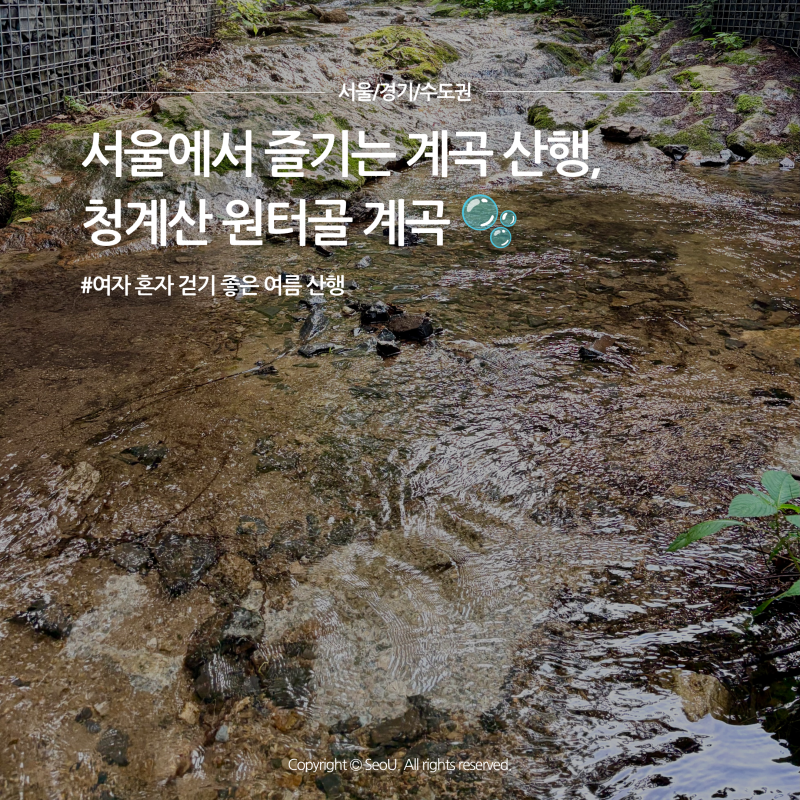 [서울/경기/수도권] 도심 속 계곡 산행, 청계산 원터골 등산 후기