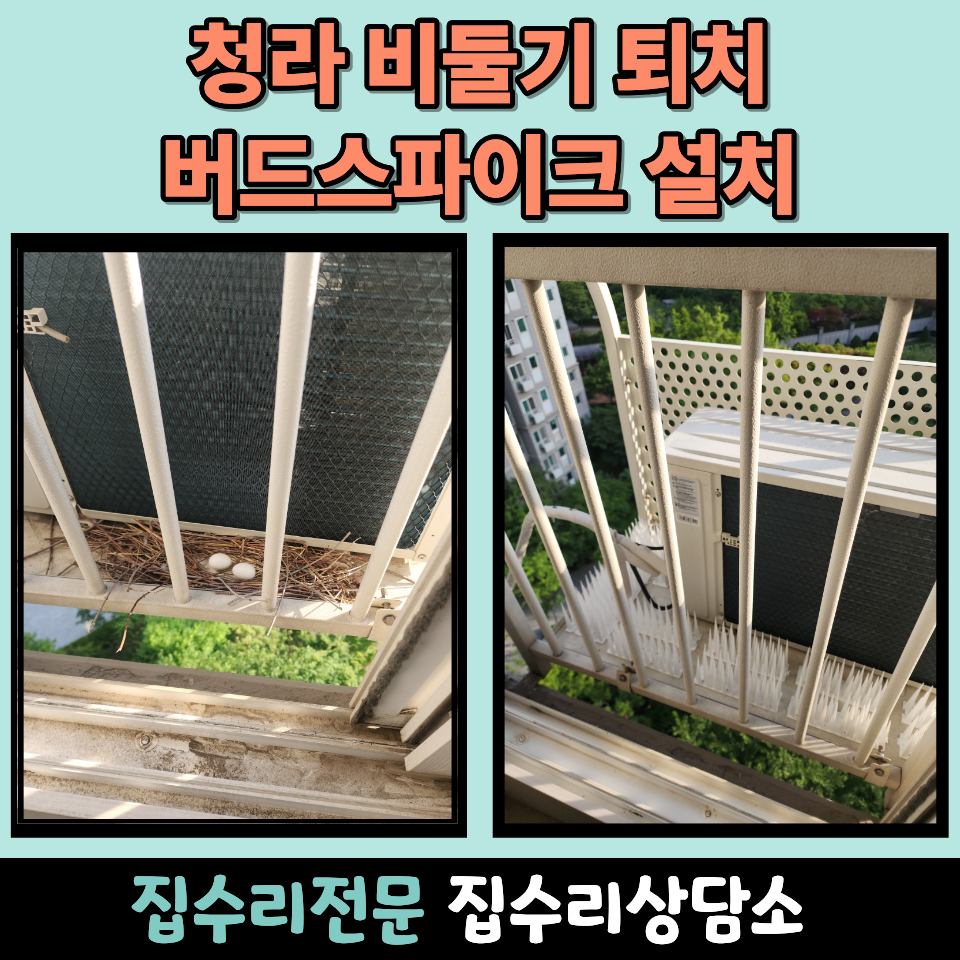 둥지 사진 1