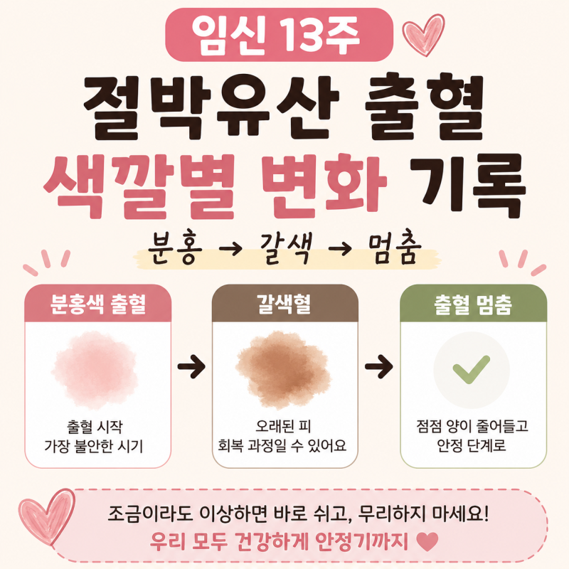 임신 13주 절박유산 출혈 색깔 변화 (분홍→갈색→멈춤 실제 후기)