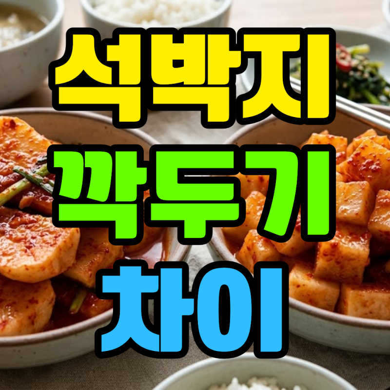 석박지 깍두기 차이 섞박지 어떤 김치인지 알아보자