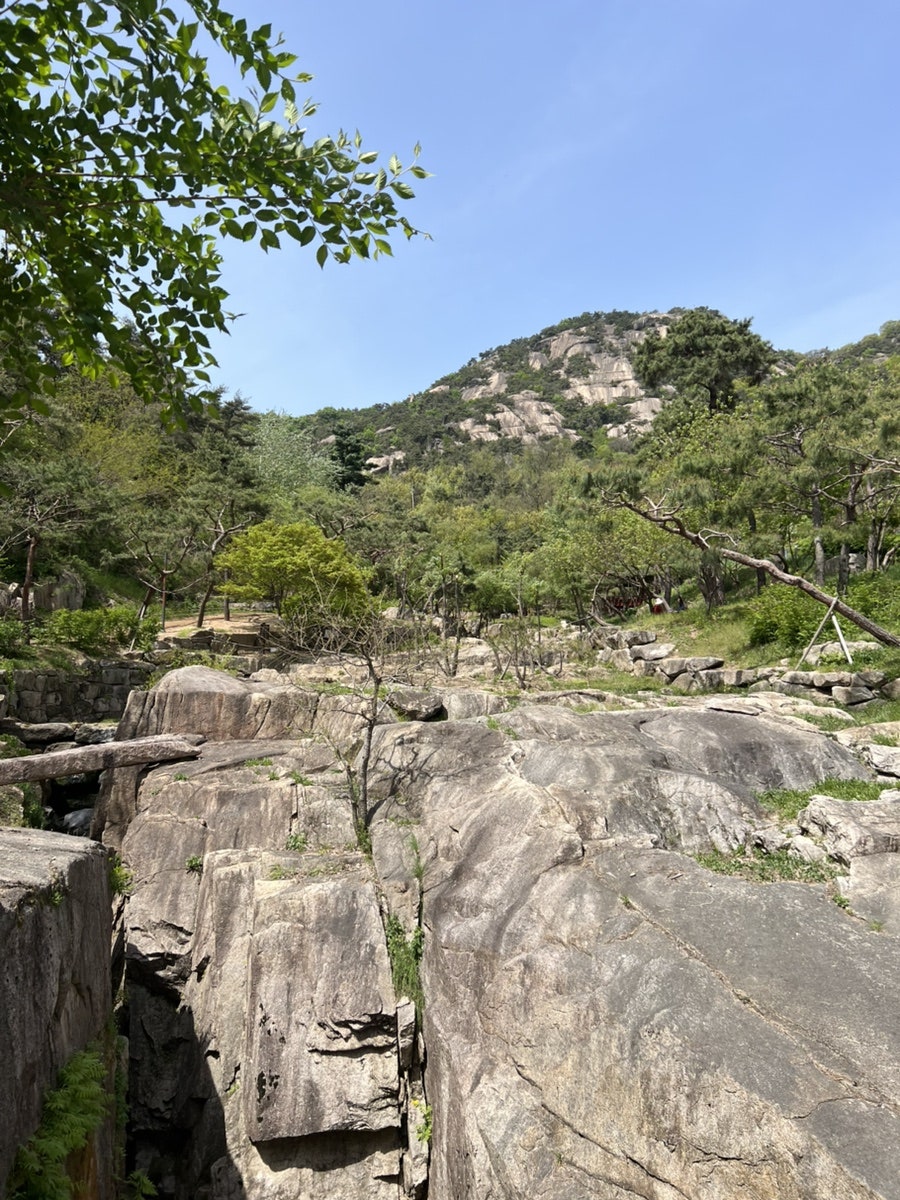 마사마드레 사진 2