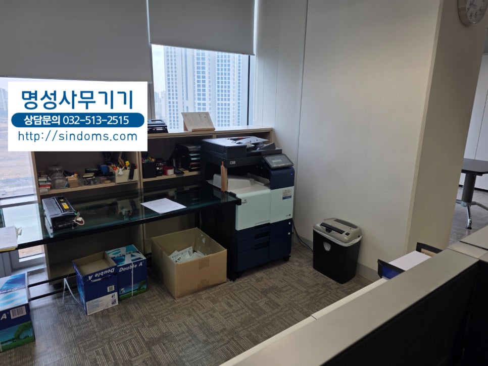 리코 사진 5