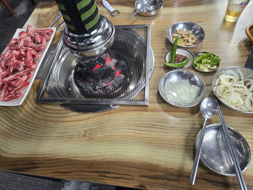 은행나무갈매기 사진 5
