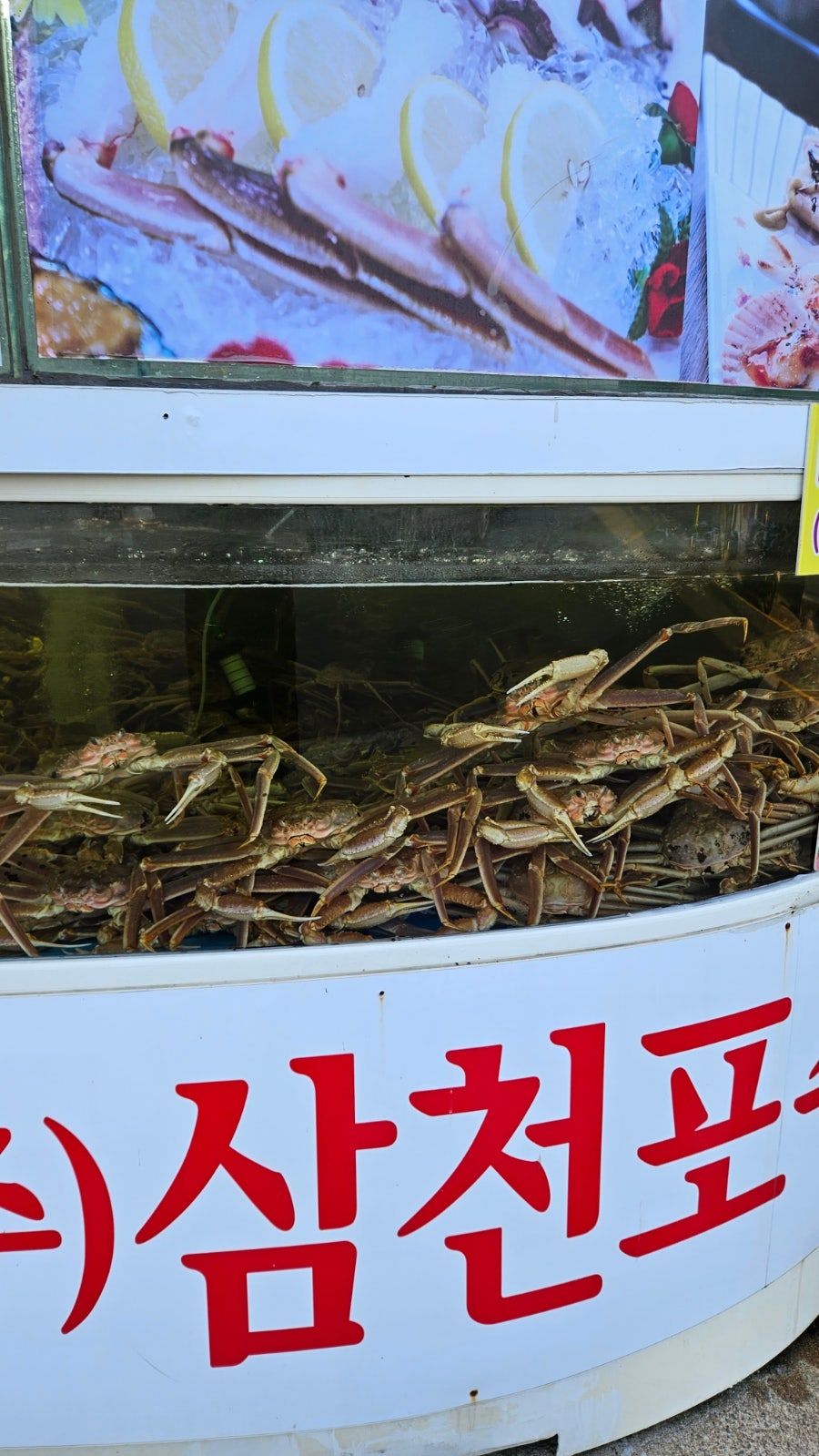 삼천포대게도매직판장 사진 3