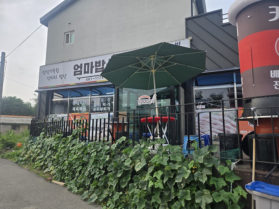 엄마밥상 사진 1