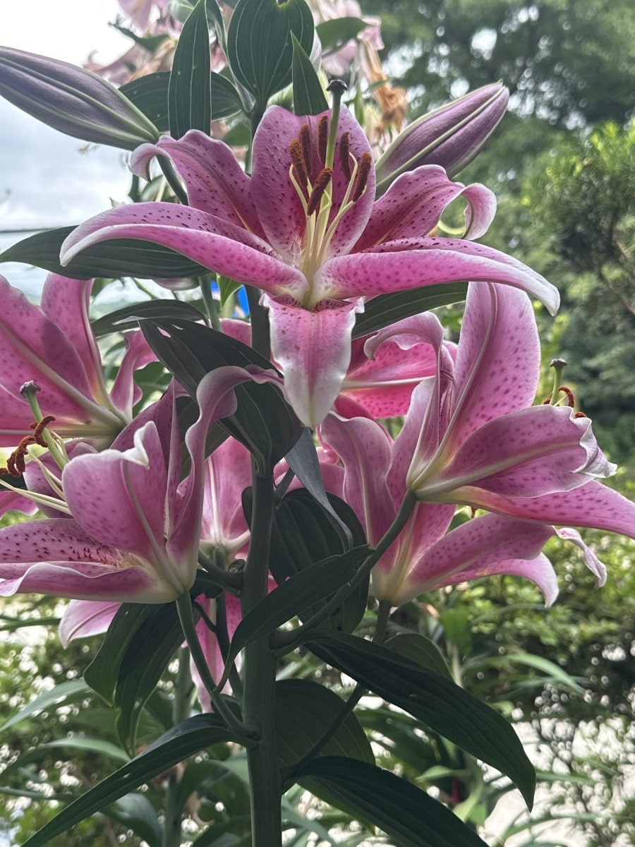 산마루가든 사진 3