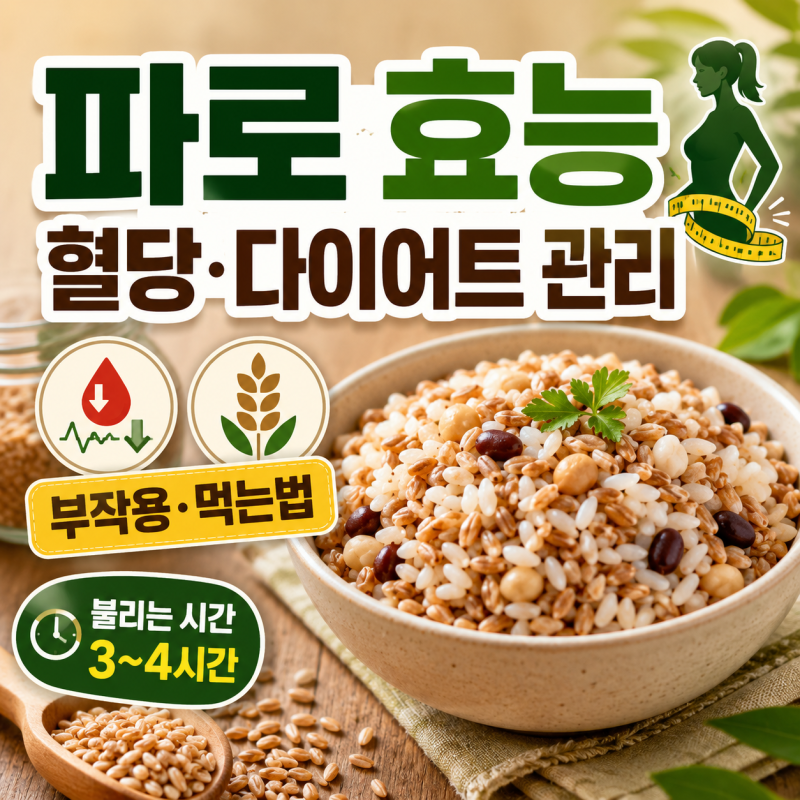 다이어트와 당뇨 관리에 탁월한 고대 곡물 파로 효능 부작용 없이 먹는 법