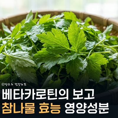 베타카로틴의 보고, 참나물 효능 부작용 제철 영양성분 먹는법!