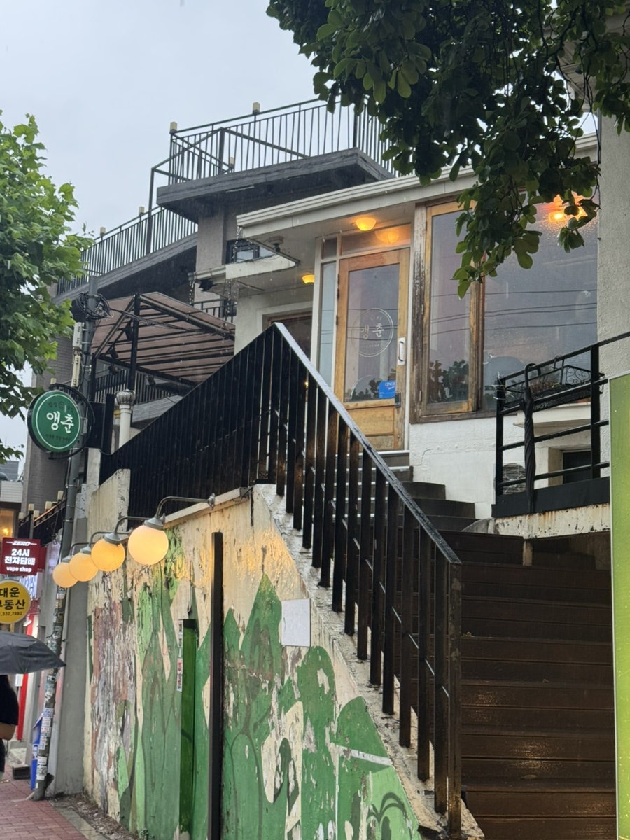 앵춘 사진 2