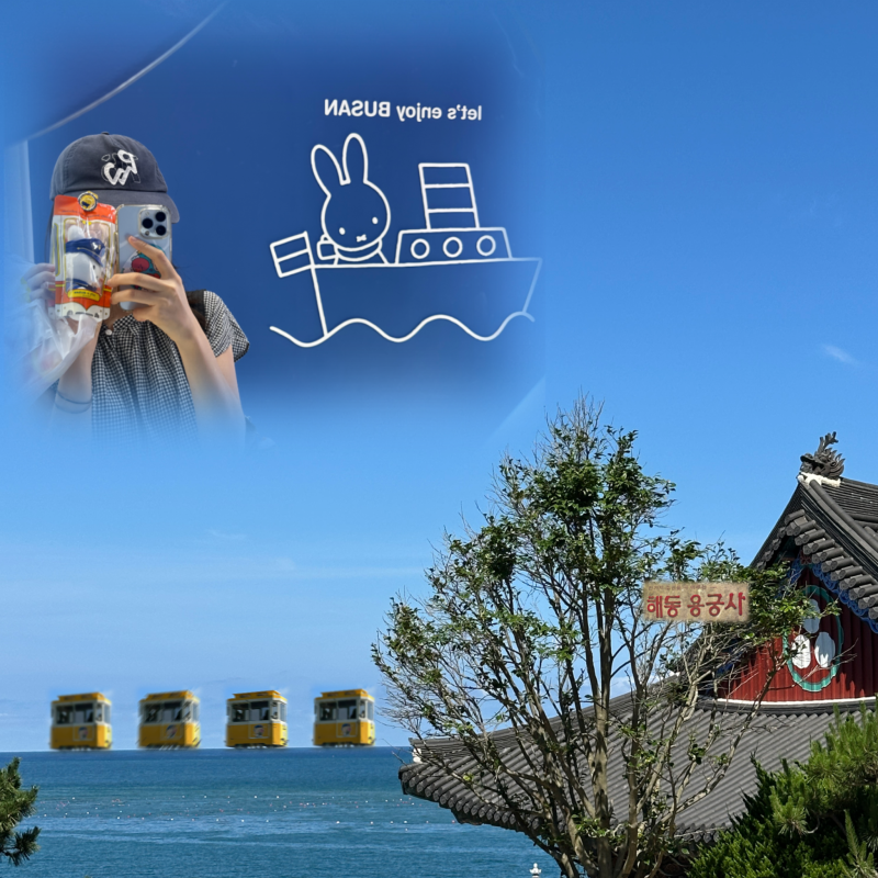 부산여행기3: 요즘 가장 뜨거운 부산 여행코스. 해동용궁사, 캡슐열차, 해운대 미피스토어.