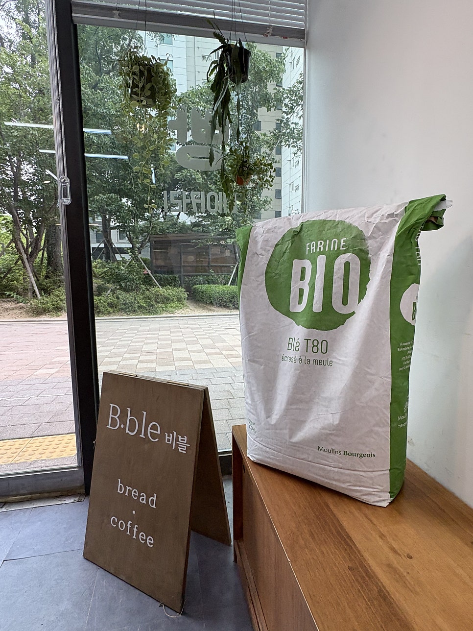 비블 사진 5