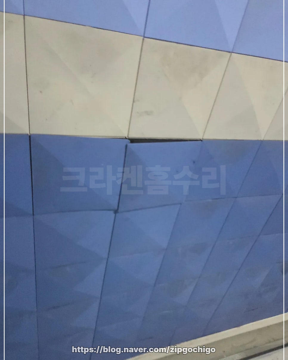 판 사진 5