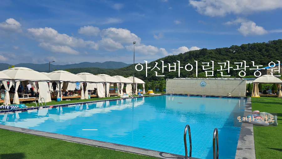 아산바이림관광농원 사진 1