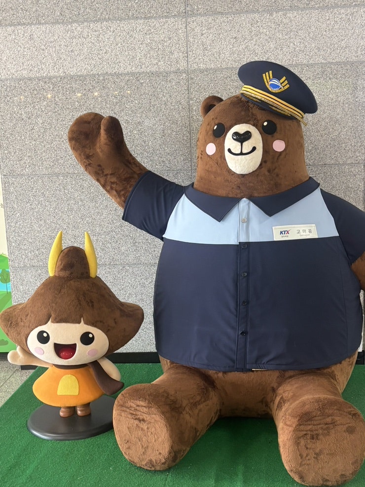 향설 사진 5