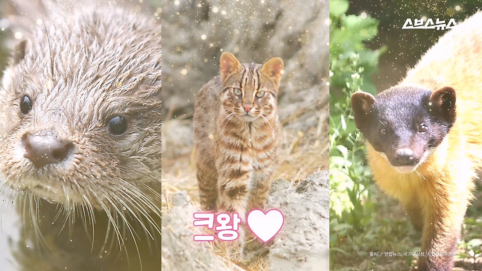 낙원 사진 4