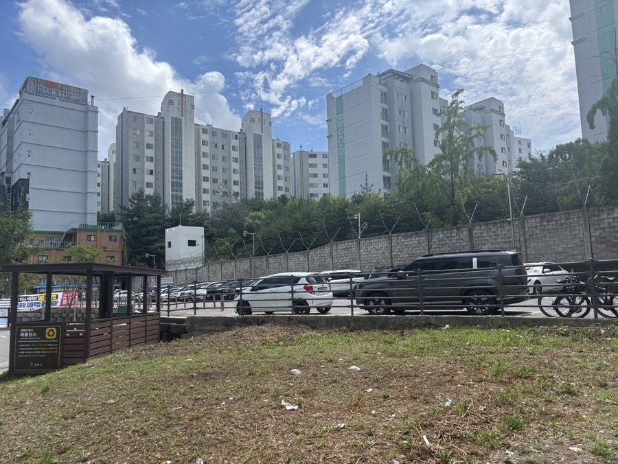 그레이프바인 사진 5